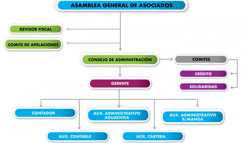Organigrama